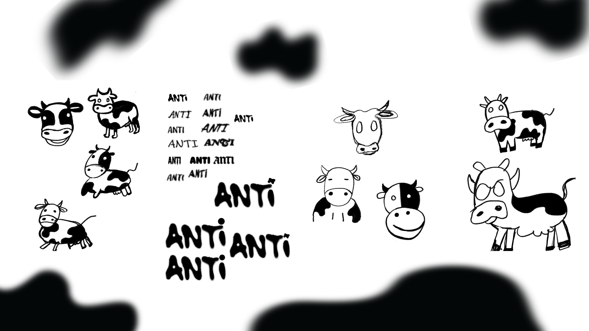Process sketches — dozens of hand-drawn cow illustrations and ANTI wordmark explorations in black ink